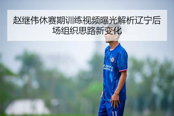赵继伟休赛期训练视频曝光解析辽宁后场组织思路新变化