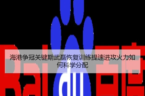 海港争冠关键期武磊恢复训练提速进攻火力如何科学分配